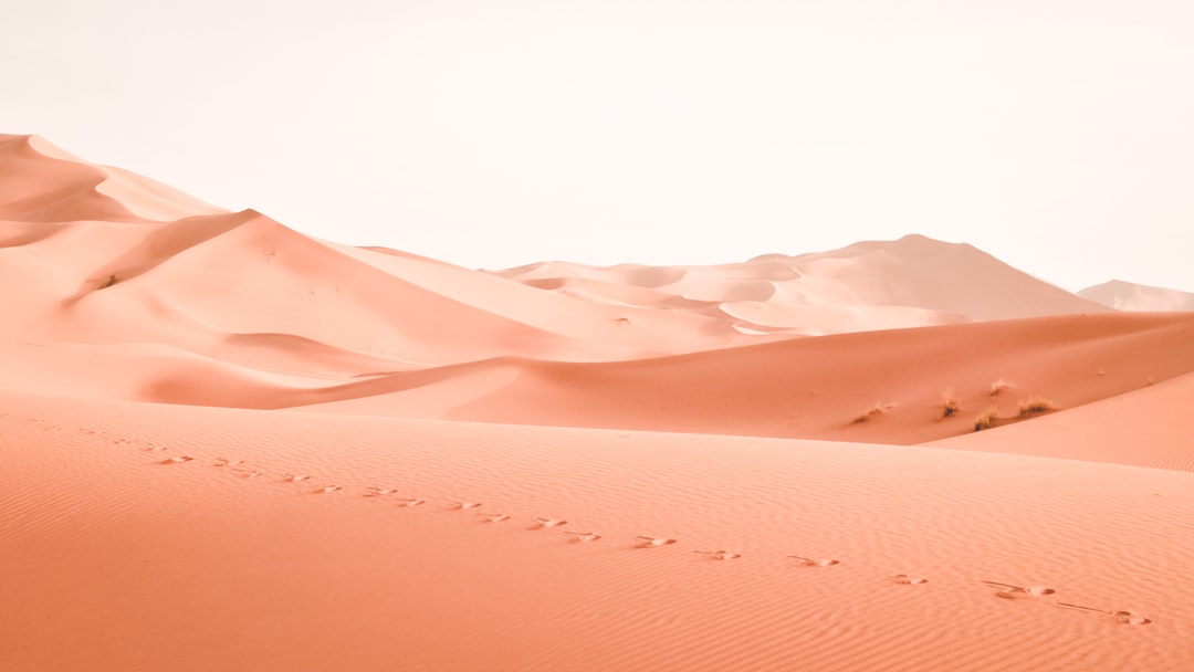 Photo survival tips for the desert