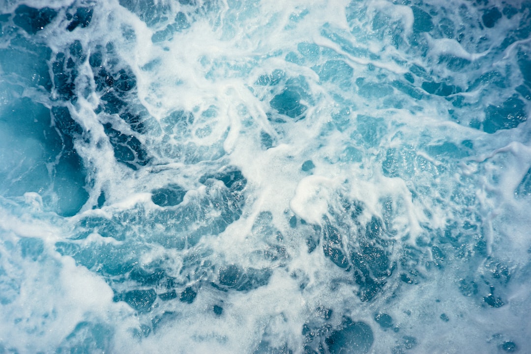 Photo survival tips in the ocean