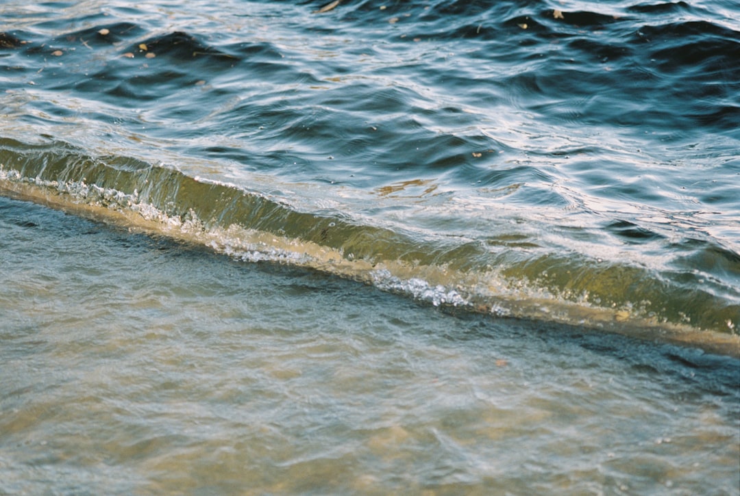 Photo survival tips for a tsunami