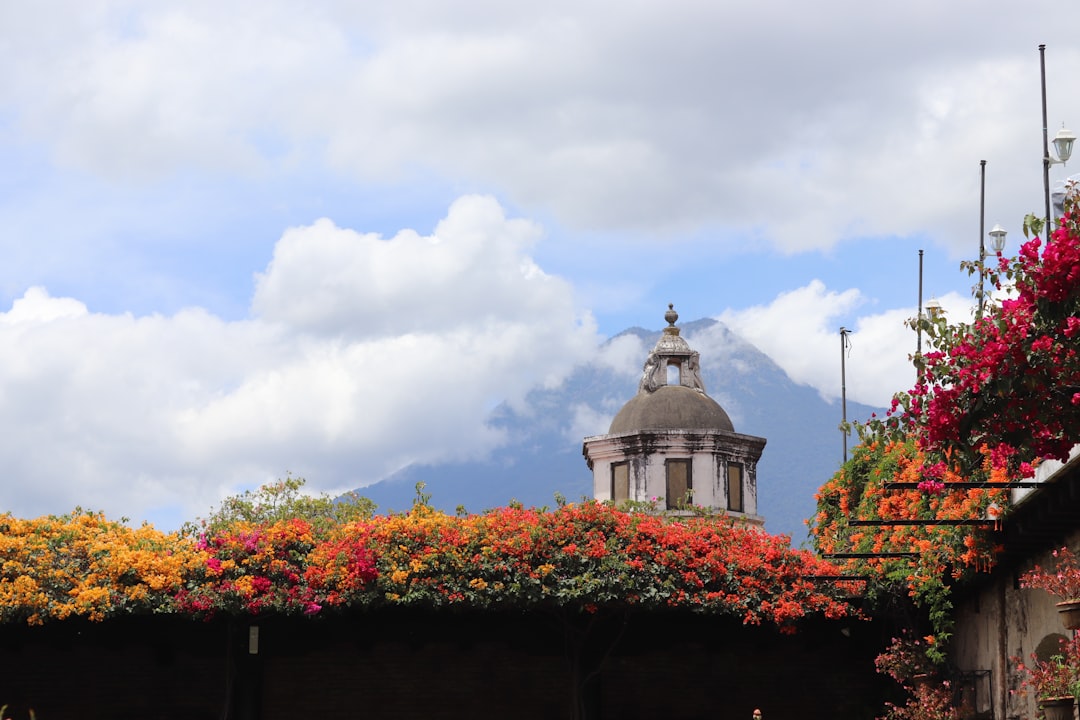 Photo Mountain House