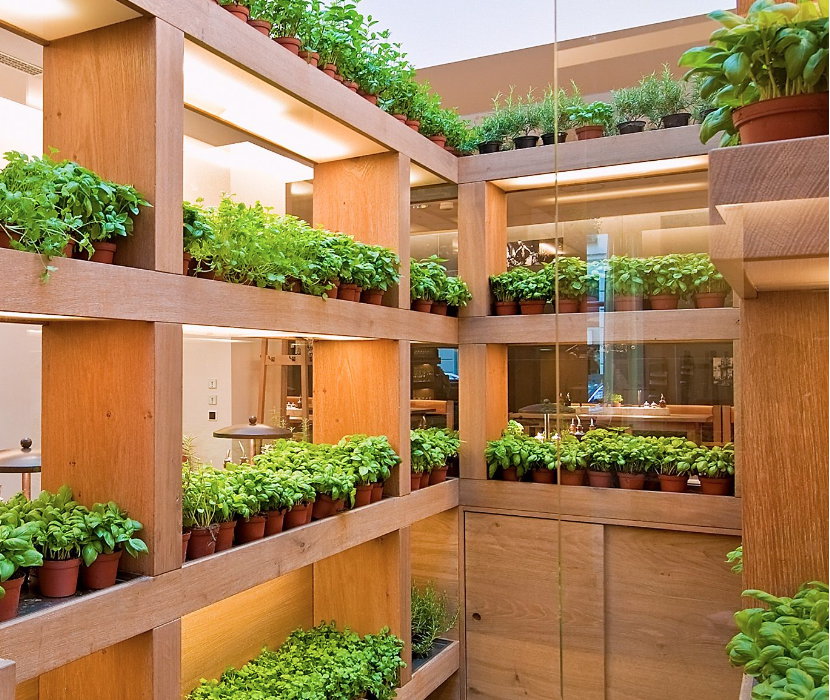 Choosing the Right Indoor Gardening Space